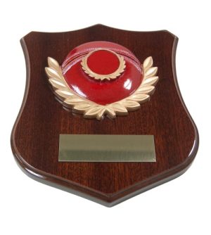 Cricket Shield