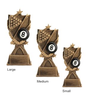 Alternative view of Super Billiards Award