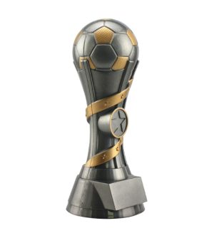 Alternative view of Football Pillar Trophy