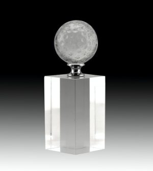 Alternative view of The Fairway Golf Award