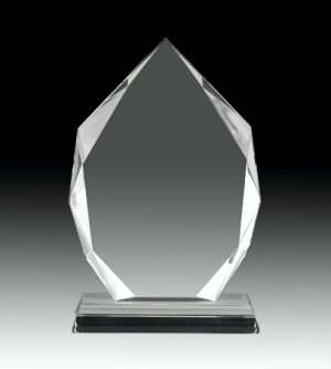 Amazon Crystal Award