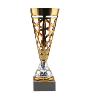 Challenger Cup - Bronze