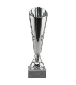 Summit Trophy - Silver