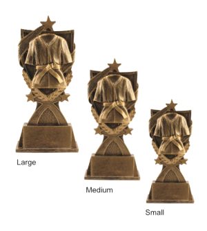 Alternative view of Super Martial Arts Award