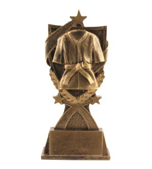 Super Martial Arts Award