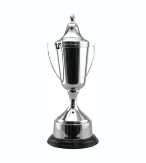 Alternative view of Legacy Cup